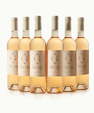 Guild Wine Lookbook Image 1